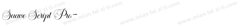 Suave Script Pro字体转换